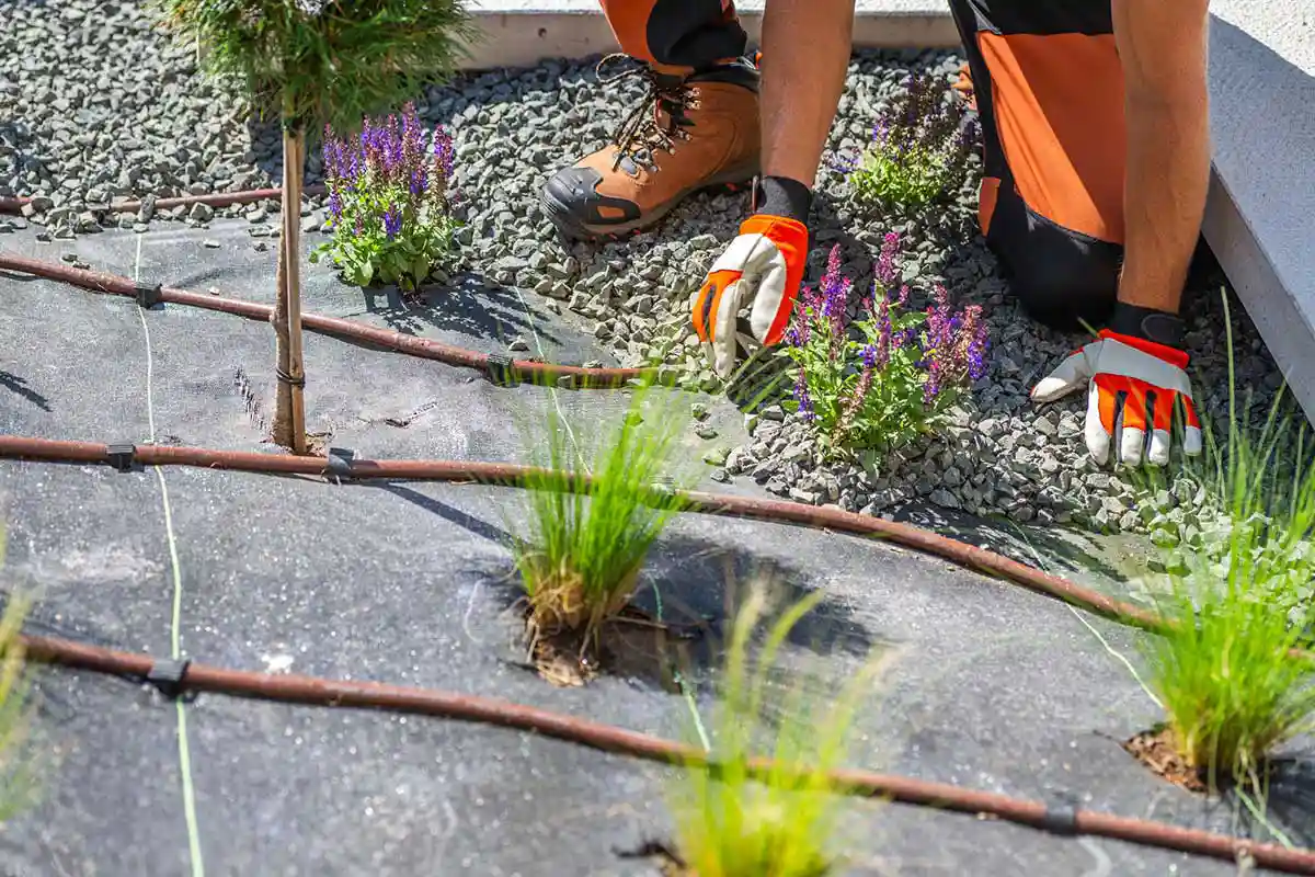 Professional Landscaping Services