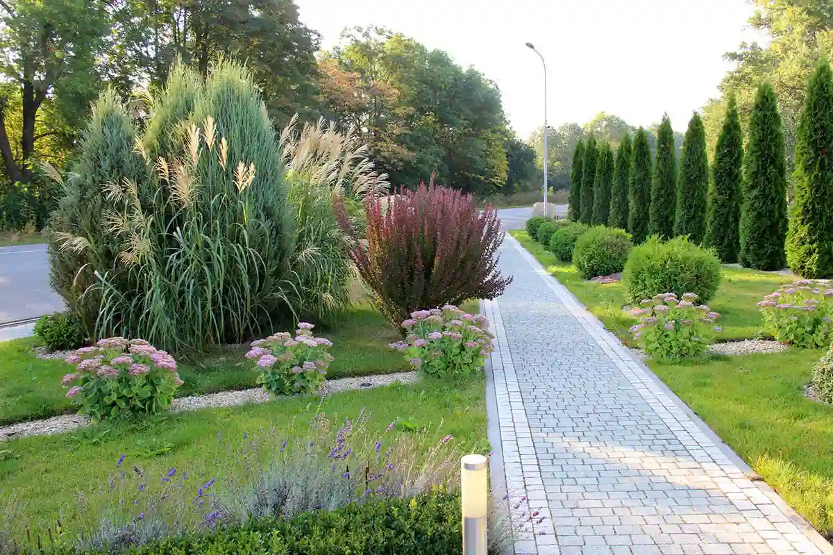 Expert Landscaping Contractor