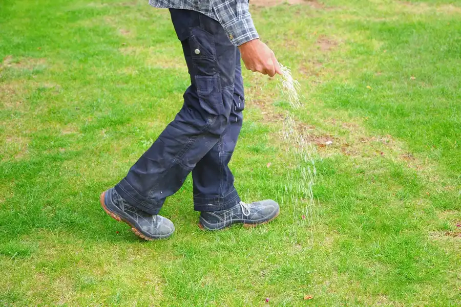 Lawn Care