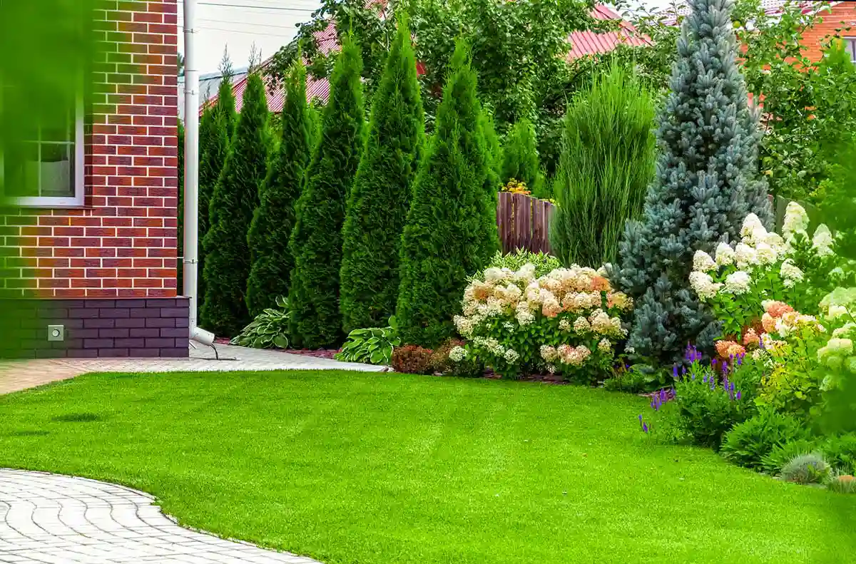 Professional Landscaping Contractor