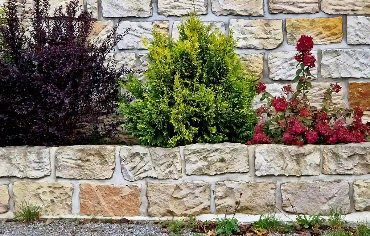 Affordable Landscaping Contractor